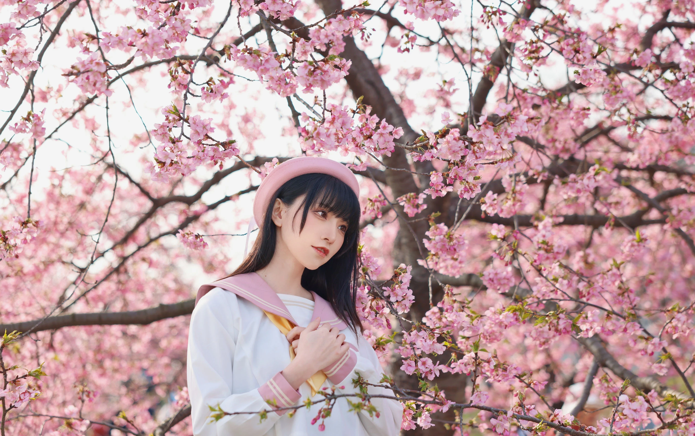 动漫博主Kitaro_绮太郎 – 樱花 [18P]插图5