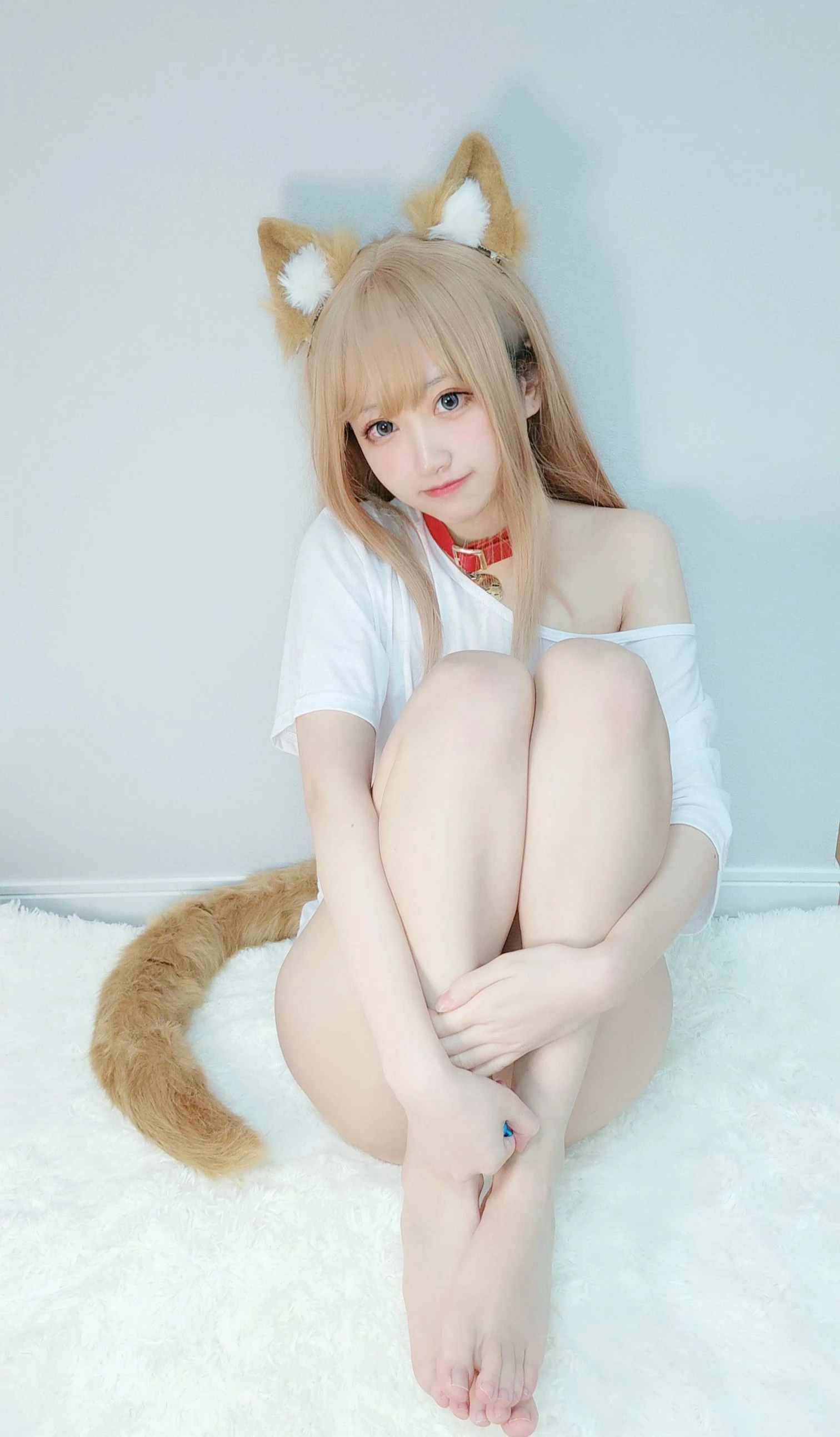千阳(ちよ) – 40原设猫猫插图1