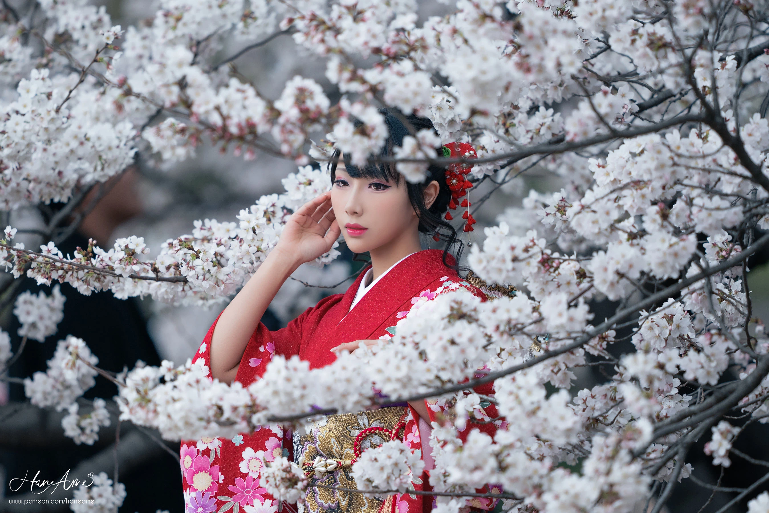 Hane Ame 雨波 – 赤紅和服插图8