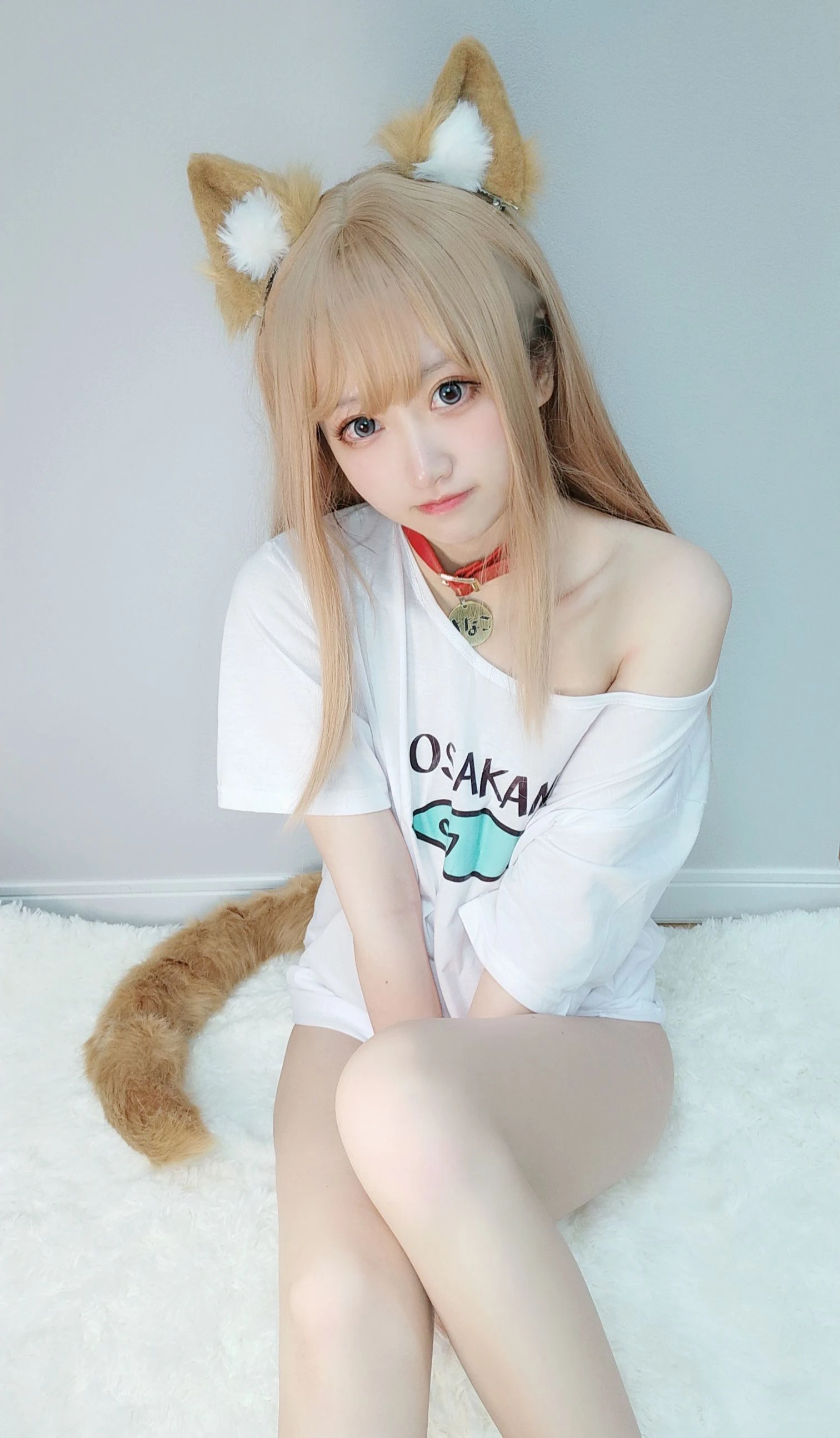 千阳(ちよ) – 40原设猫猫插图2