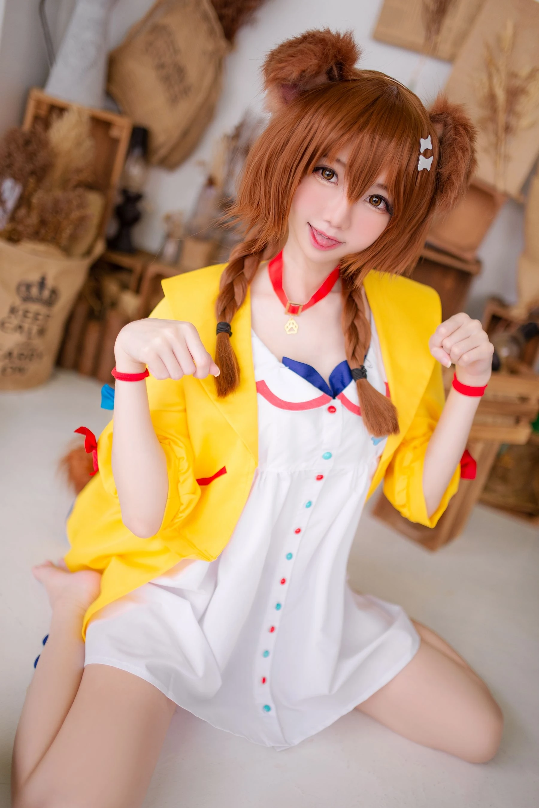 Sally Dorasnow – Inugami Korone插图2