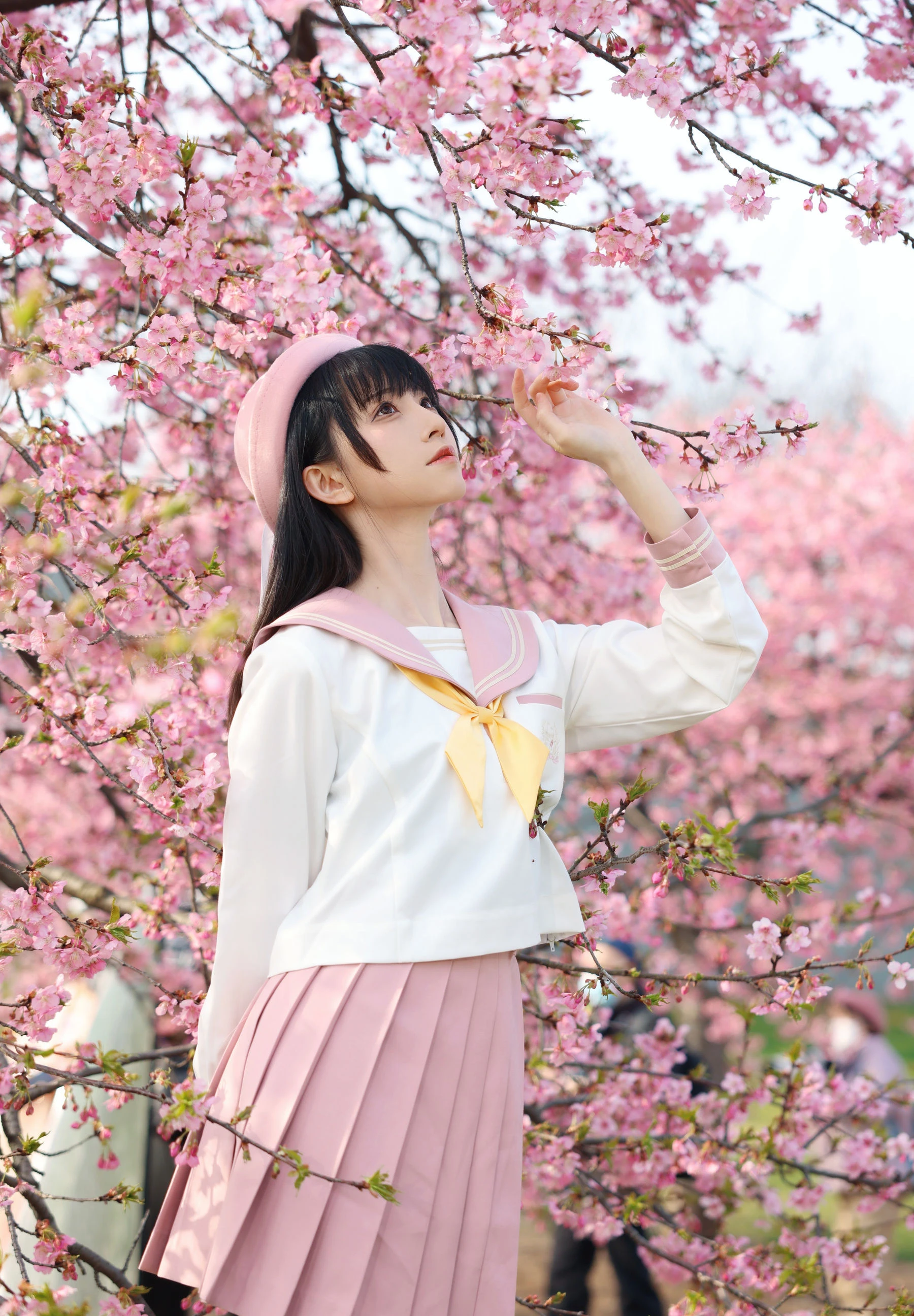 动漫博主Kitaro_绮太郎 – 樱花 [18P]插图6