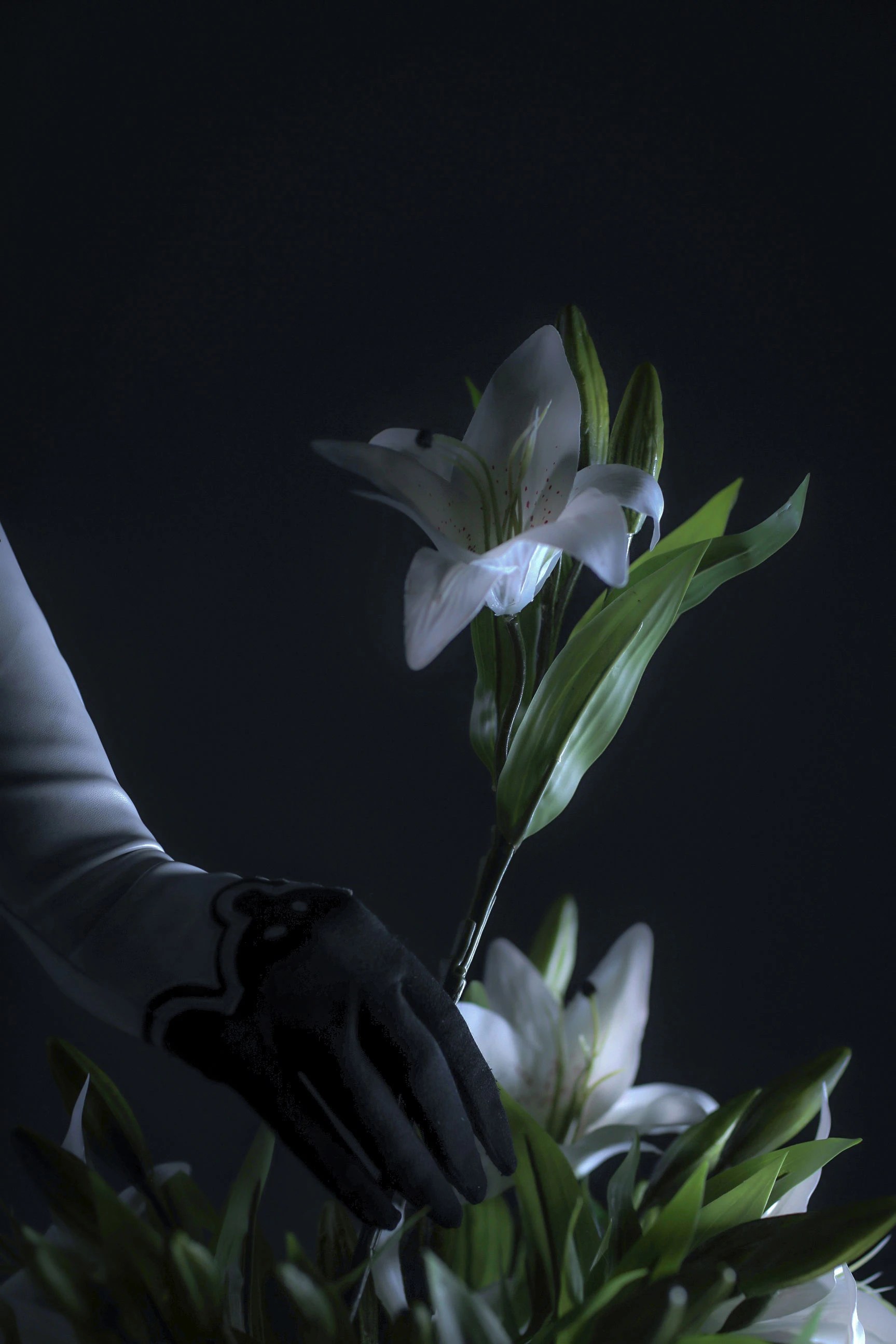 国外美女SayaTheFox – 2B Floral [10P]插图5