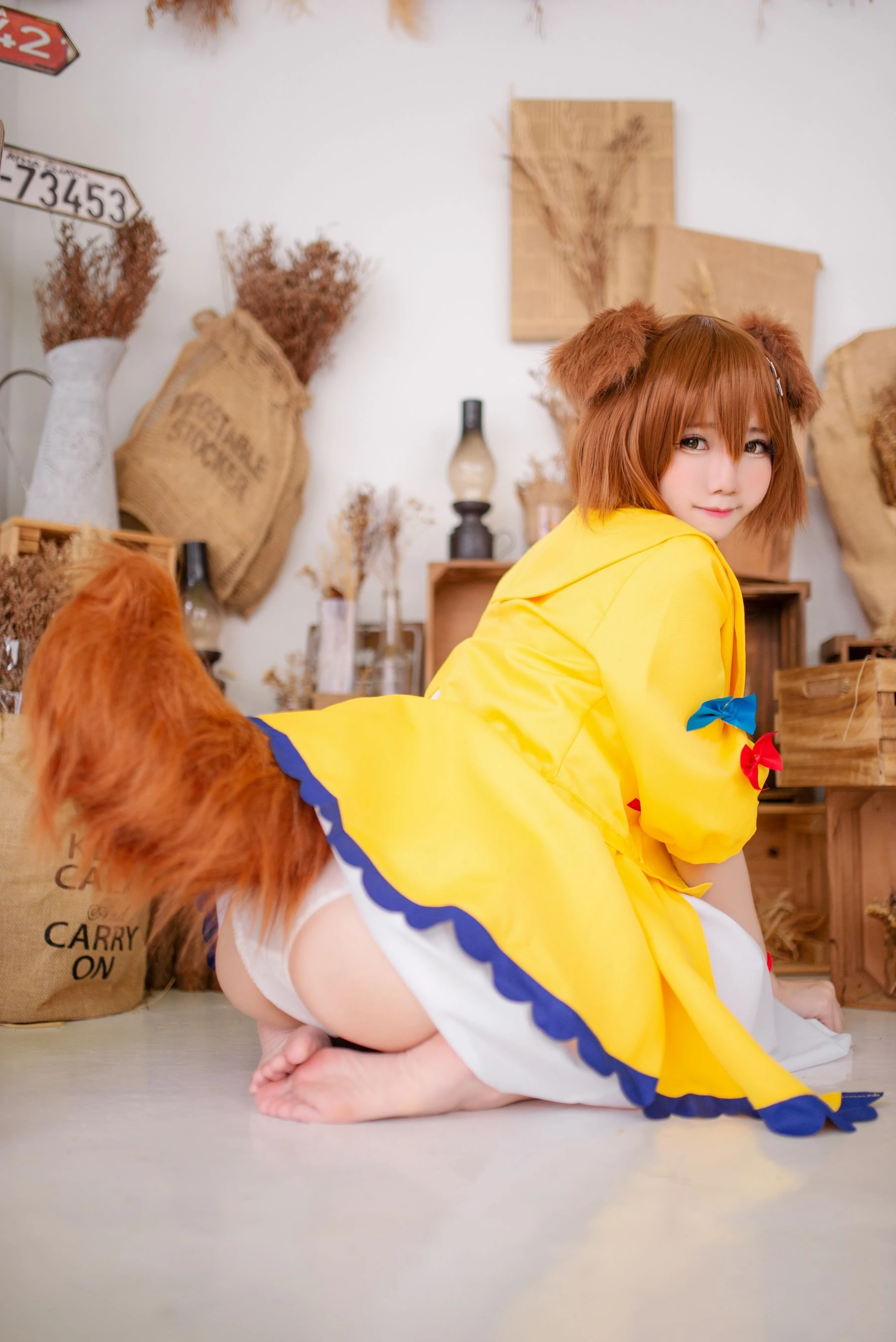 Sally Dorasnow – Inugami Korone插图5