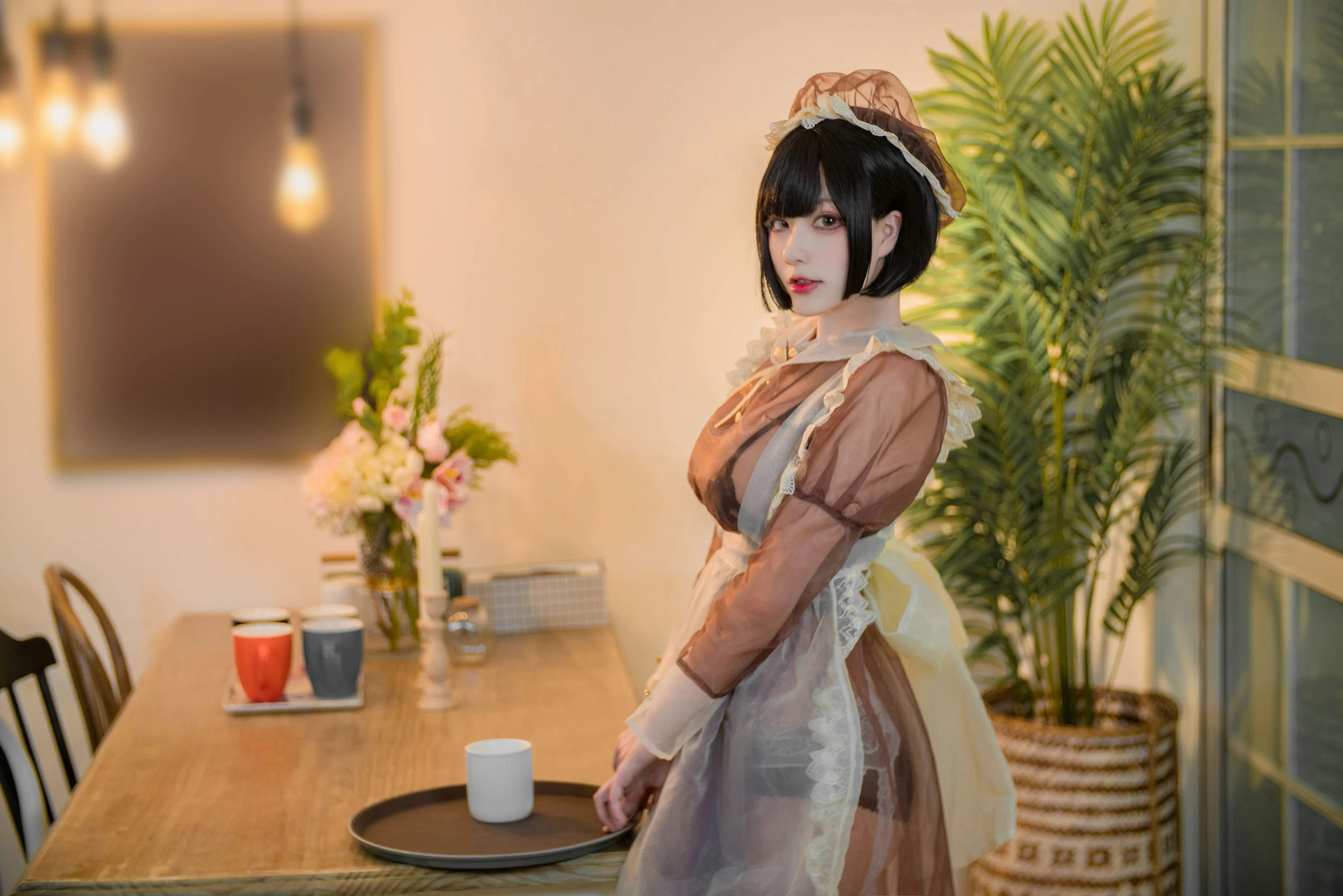 起司块wii写真 棕色透明装女仆插图1