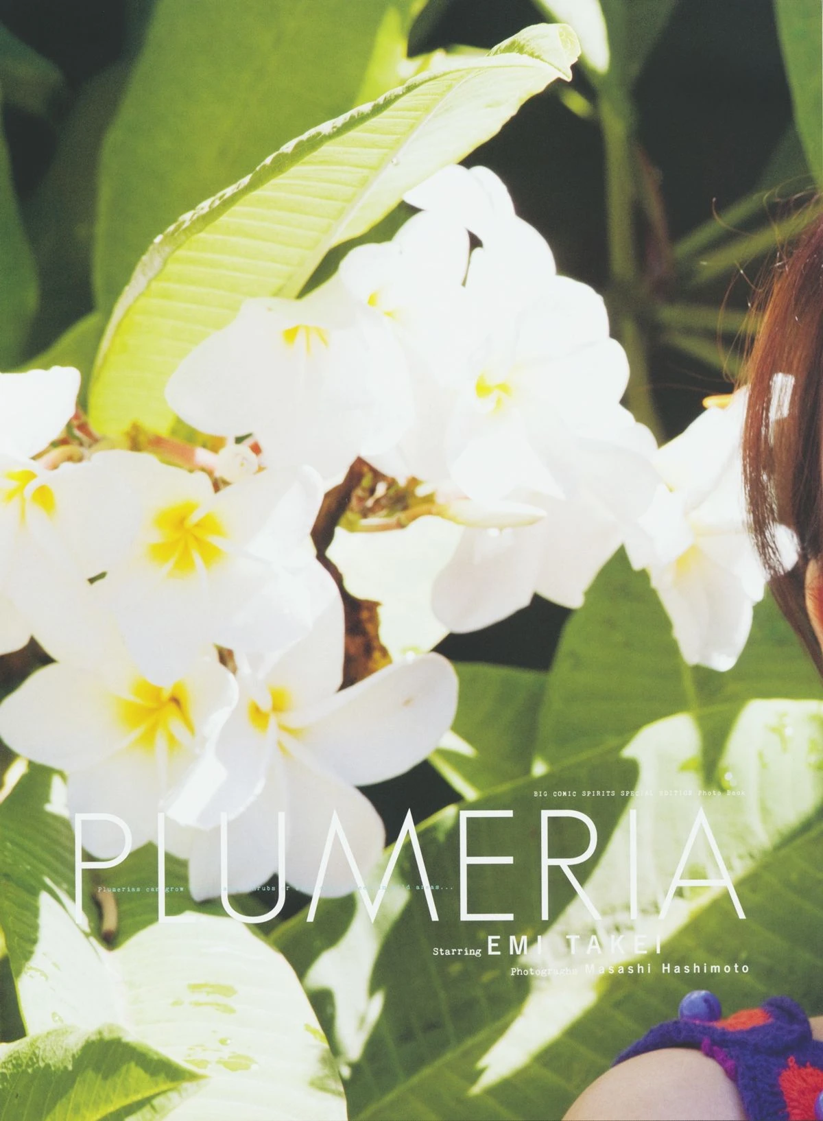 武井咲 《PLUMERIA》 摄影：桥本雅司插图8