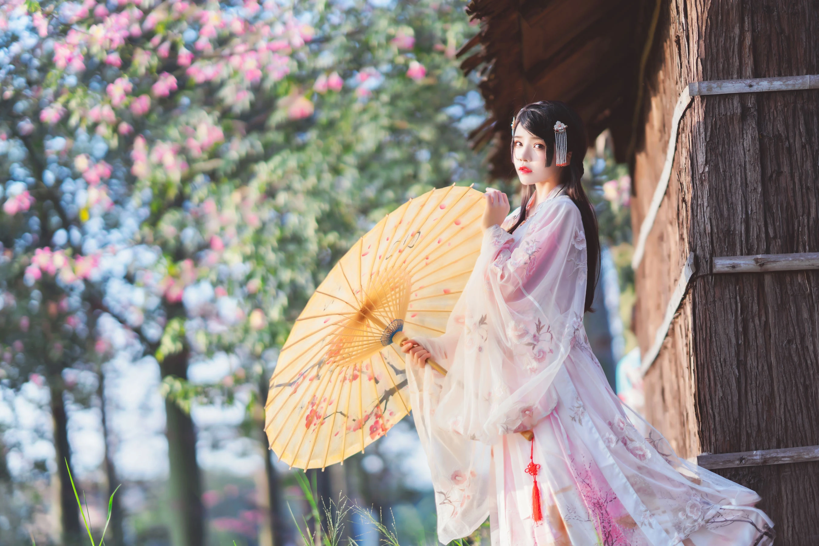 桜桃喵 – 温柔之汉服桃花插图5