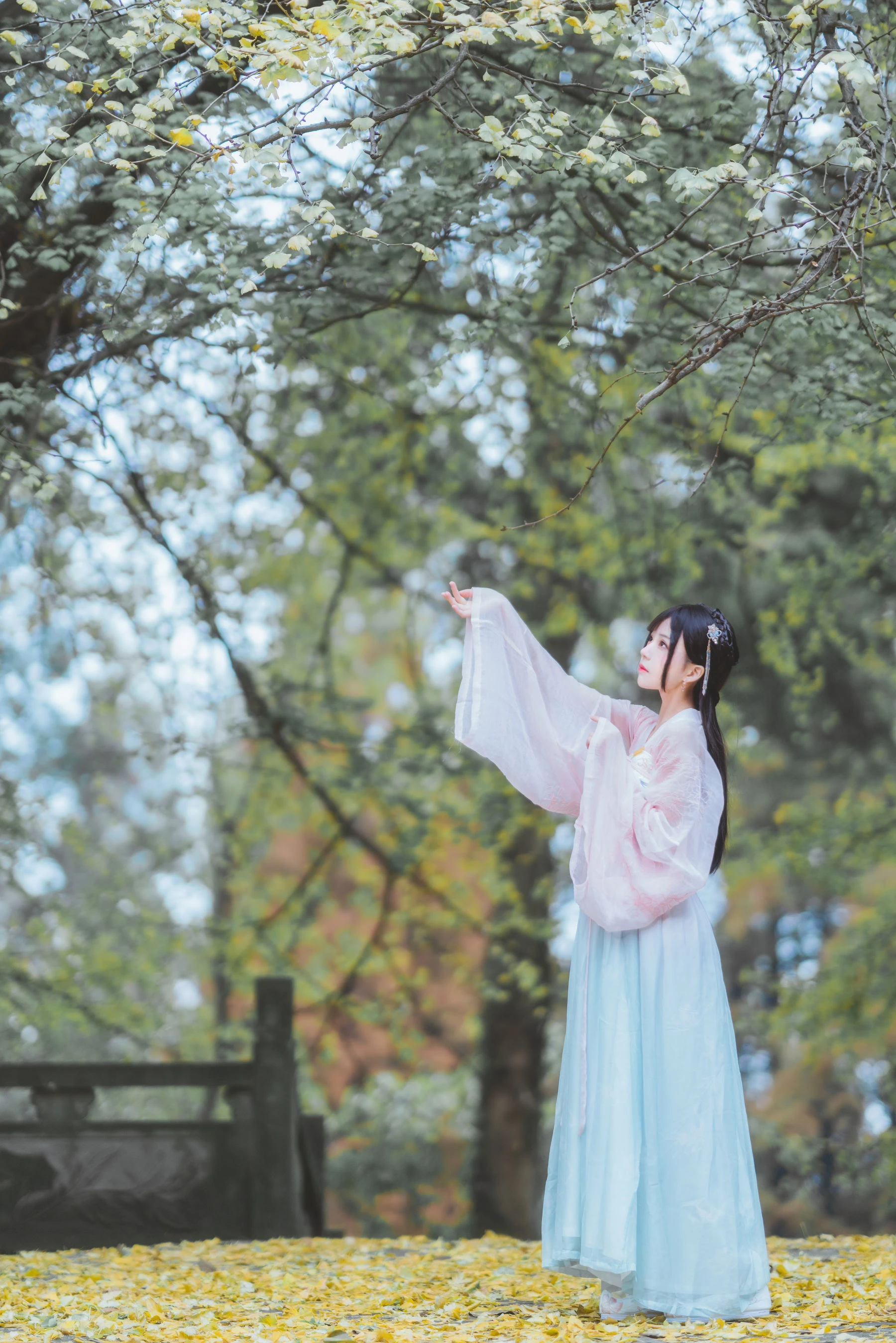 桜桃喵 – 温柔之汉服银杏插图2