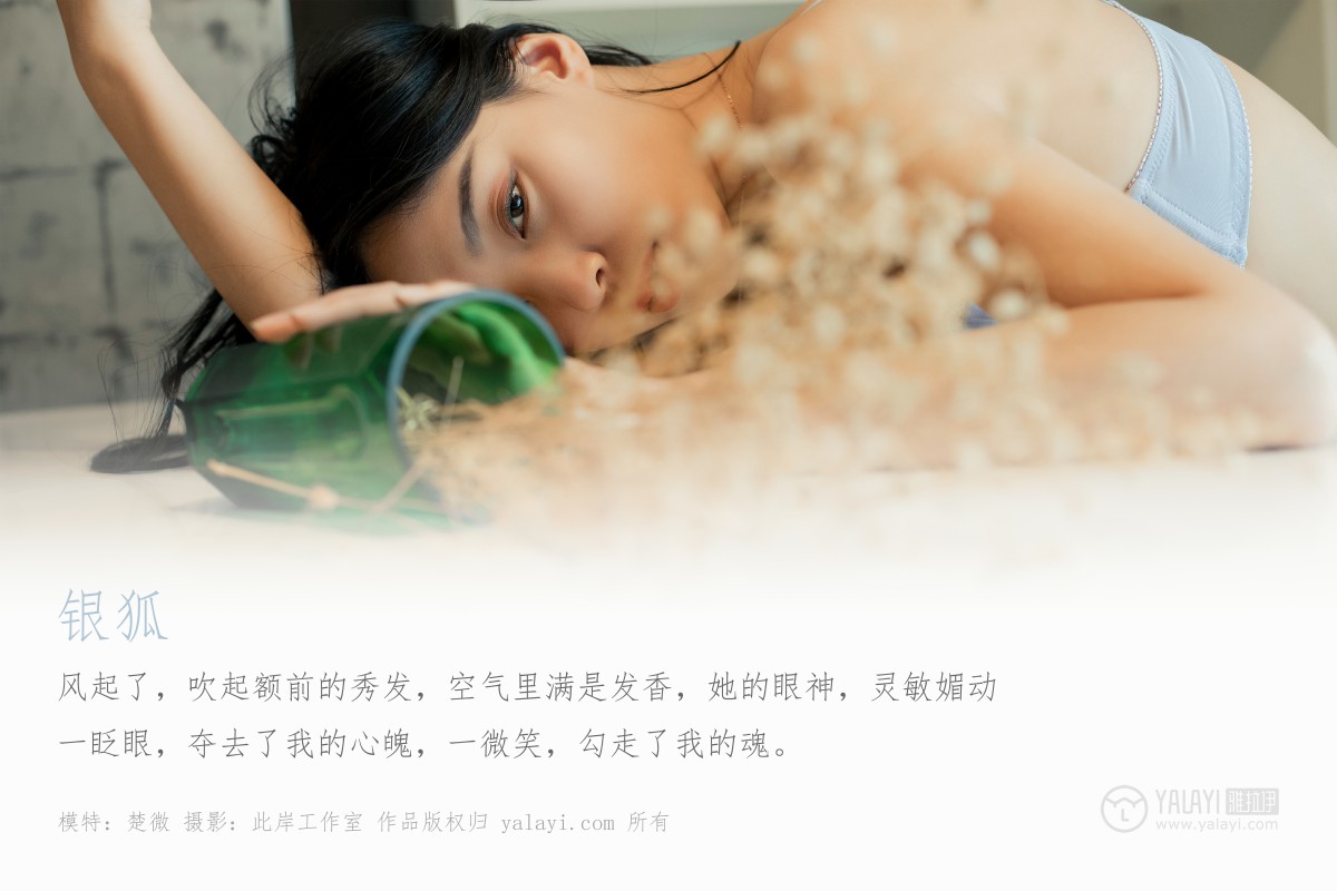 [YALAYI雅拉伊]2019.06.30 Y324 楚薇 银狐-撸撸奈子